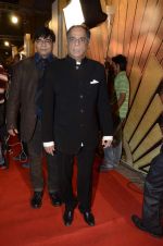 at Zee Awards red carpet in Mumbai on 6th Jan 2013,1 (10).JPG